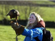 Birds Of Prey Experience